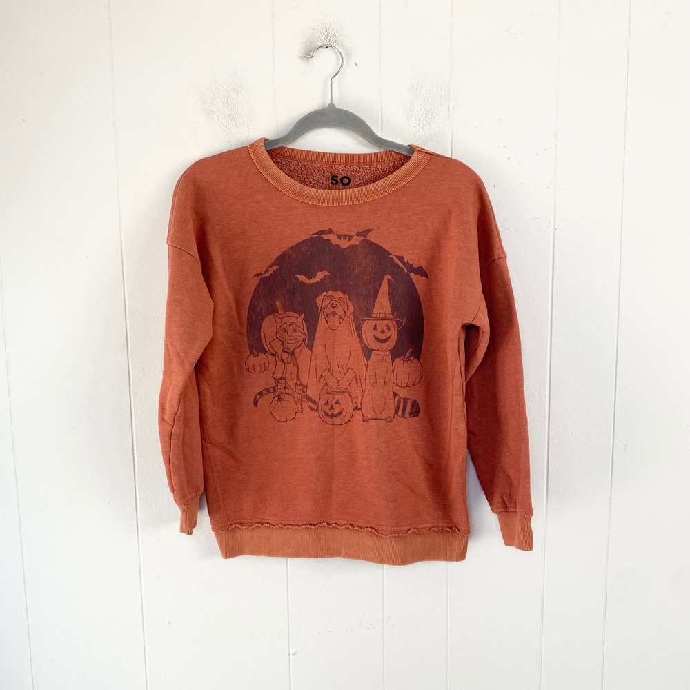 SO Halloween Graphic Sweatshirt Orange Cat Dog Raccoon Ghost Girls L 10/12
